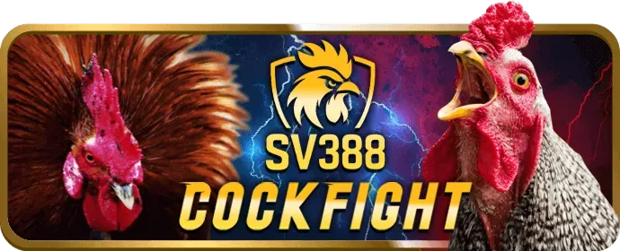 Chương trình VIP và tích điểm Sonbet